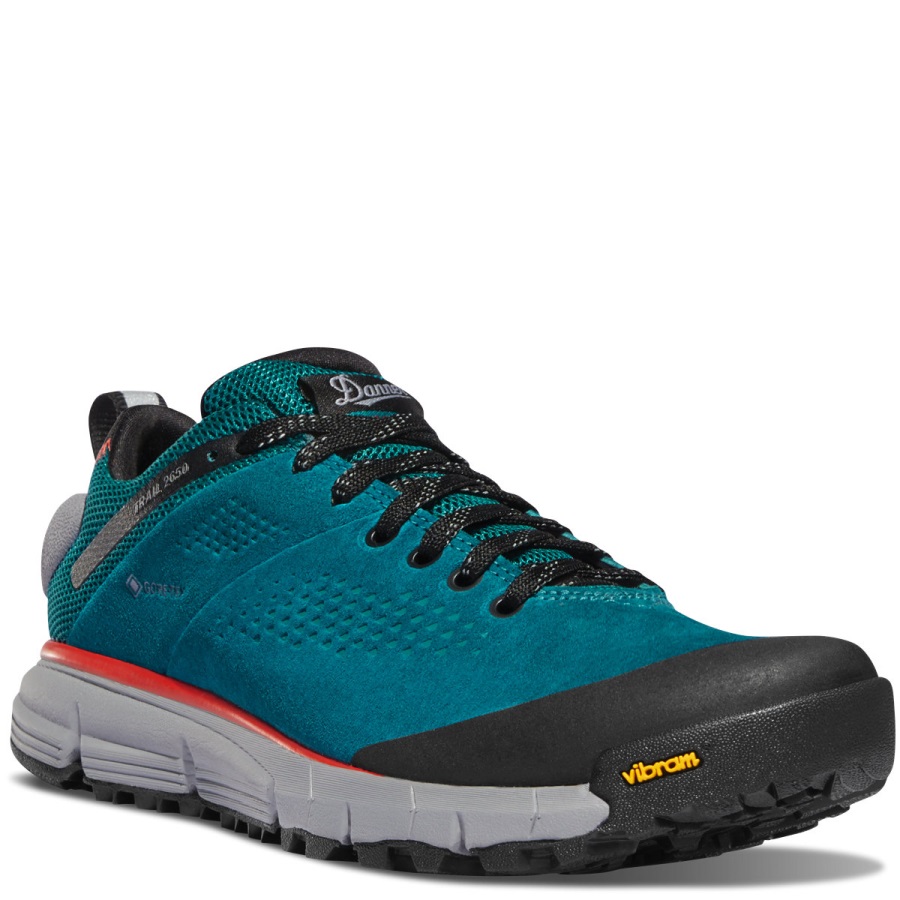 Dames Trail 2650 Gtx Huidige Blauwe Danner