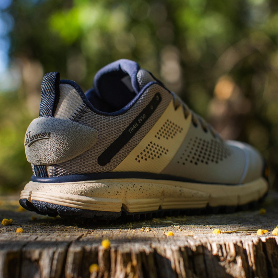 Danner Fp Movement Trail 2650 Dampblauw/botercreme