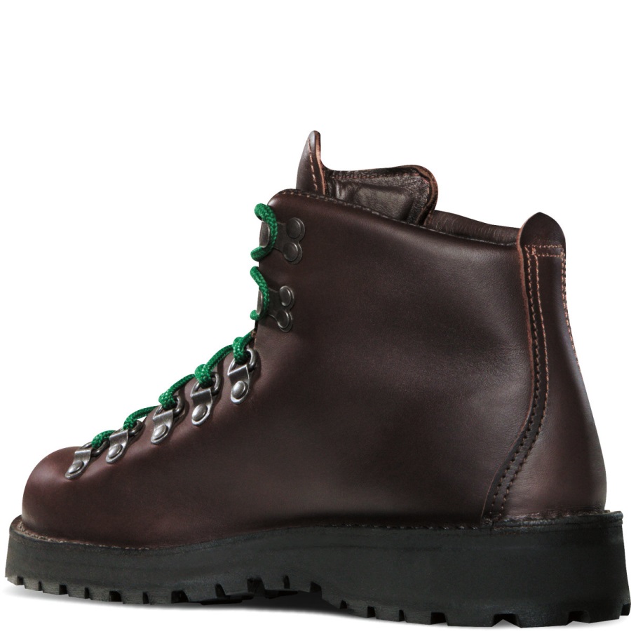 Danner Mountain Light Ii Bruin-gore-tex