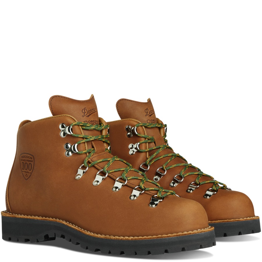 Danner Mountain Light Of State Parks Centennial