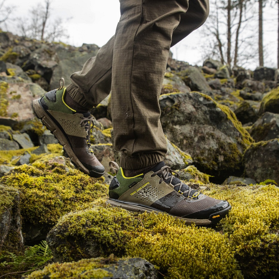 Danner Trail 2650 Campo Gtx Bruin/weidegroen