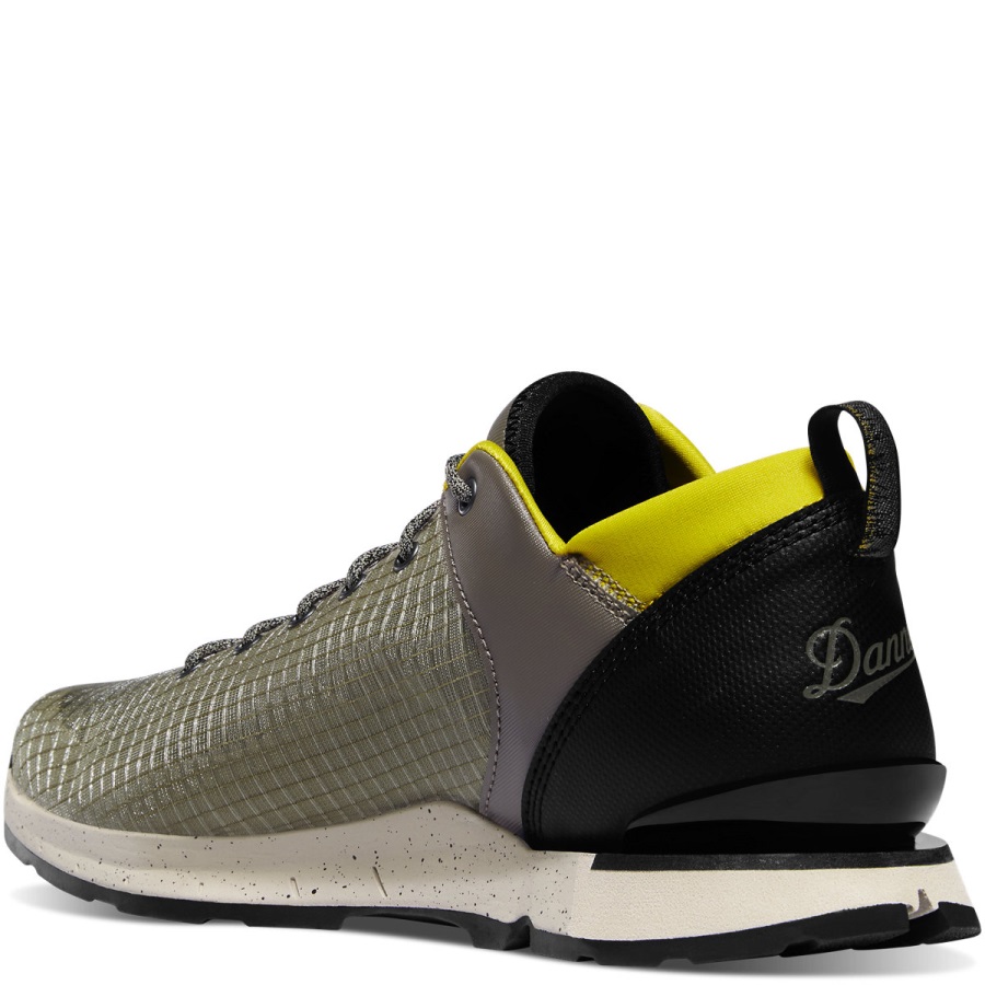 Danner Woestijn Kijken Uit Op Zilveren Salie