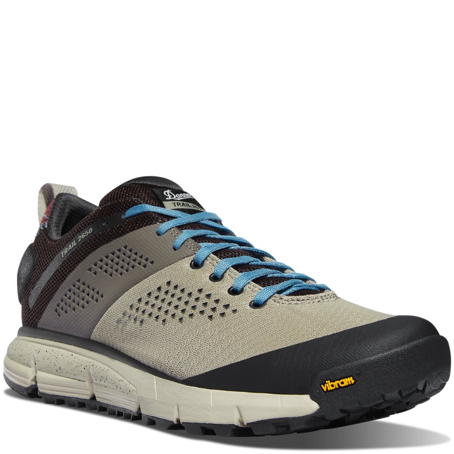 Trail 2650 Mesh Zilver Salie/stormblauw Danner