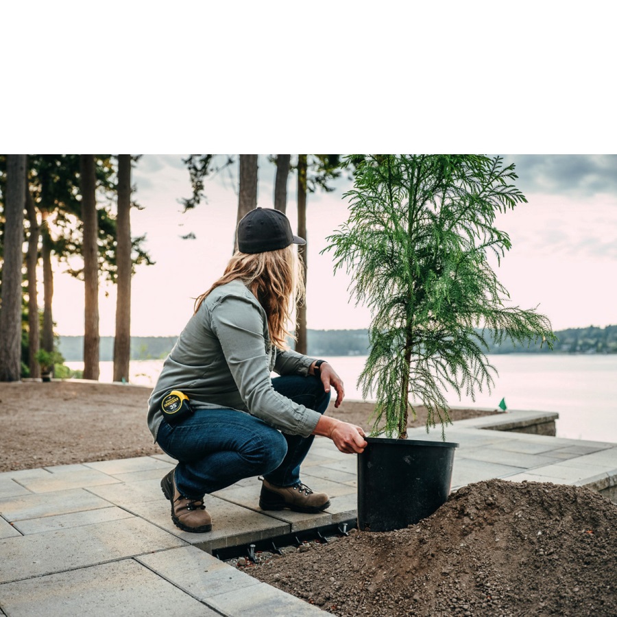 Vicieuze Bruine Composiet Teenschoen Voor Dames