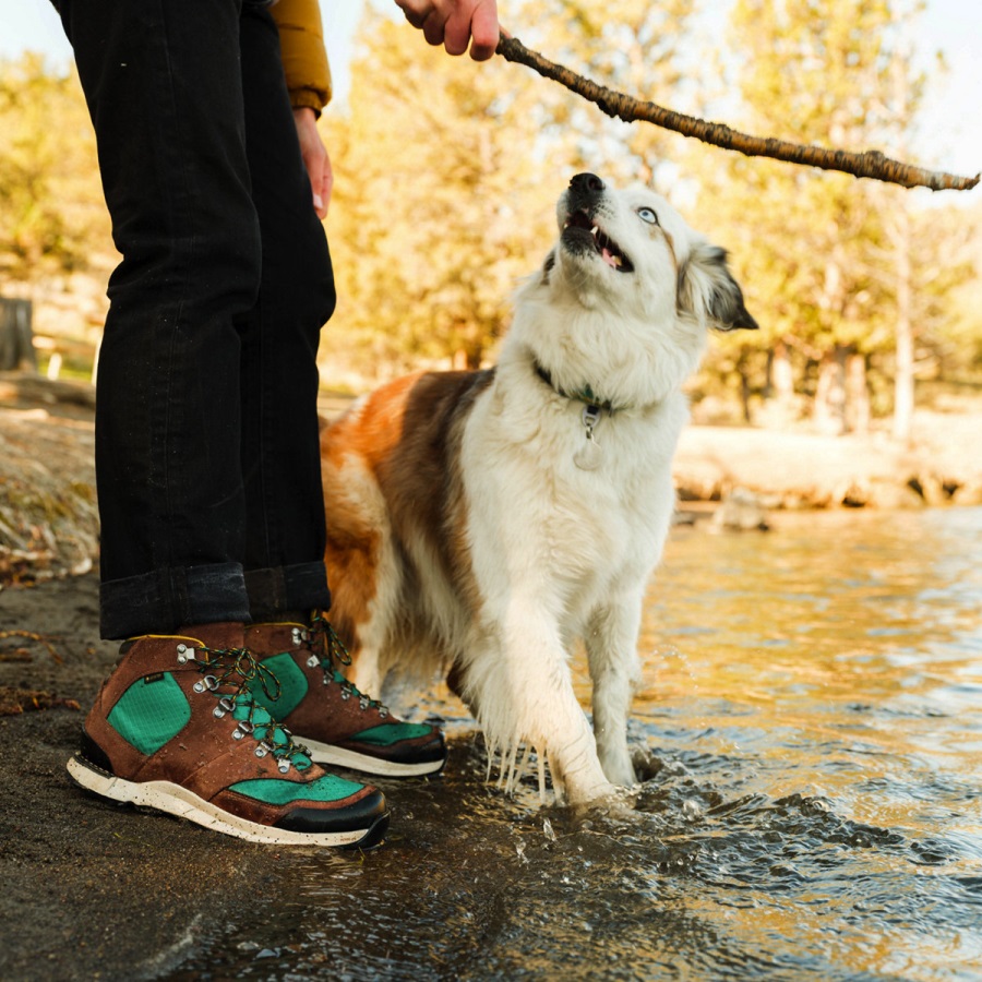 Vrije Geest Donkere Aarde Danner