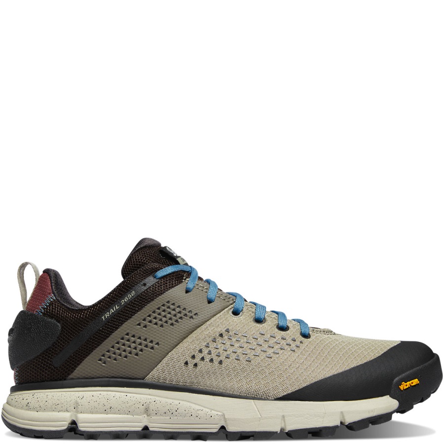 Trail 2650 Mesh Zilver Salie/stormblauw Danner